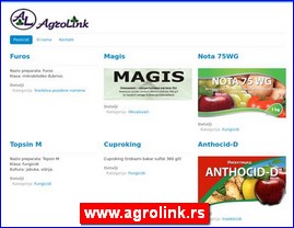 Galerije slika, slikari, ateljei, slikarstvo, www.agrolink.rs