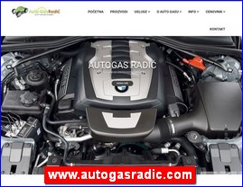 Automobili, servisi, delovi, www.autogasradic.com