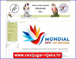 Udruženja za zaštitu životinja, smeštaj životinja, www.cesljugar-rijeka.hr