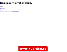 Med, proizvodi od meda, p�elarstvo, www.kosnice.rs