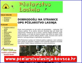 Med, proizvodi od meda, p�elarstvo, www.pcelarstvolasinja-kovsca.hr