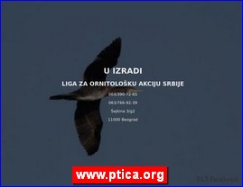 Udruženja za zaštitu životinja, smeštaj životinja, www.ptica.org