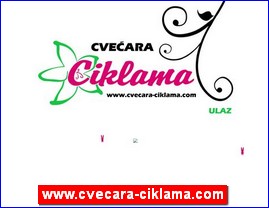 Cve�e, cve�are, hortikultura, www.cvecara-ciklama.com