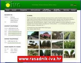 Cve�e, cve�are, hortikultura, www.rasadnik-iva.hr