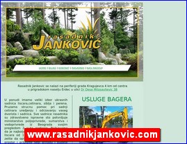 Cve�e, cve�are, hortikultura, www.rasadnikjankovic.com