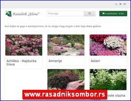 Cve�e, cve�are, hortikultura, www.rasadniksombor.rs