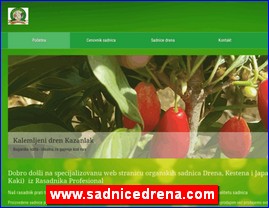 Vo�e, povr�e, prerada hrane, www.sadnicedrena.com