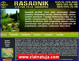 Cve�e, cve�are, hortikultura, www.zlatnatuja.com